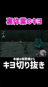 【キヨ切り抜きゼルダの伝説ティアキン】裏作業のキヨ