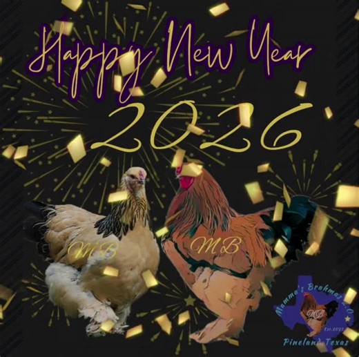 Happy New Year from my farm to yours! #happynewyear #2026 #texas