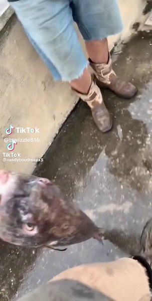 Hilarious Fish Release Fail Backflip Moment