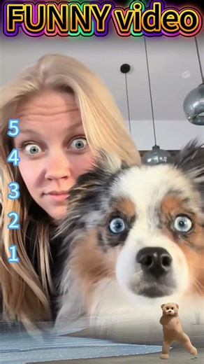 When dogs copy their owners🤣#viraldog #dogmoments #dogtok #cutedogs #doglovers