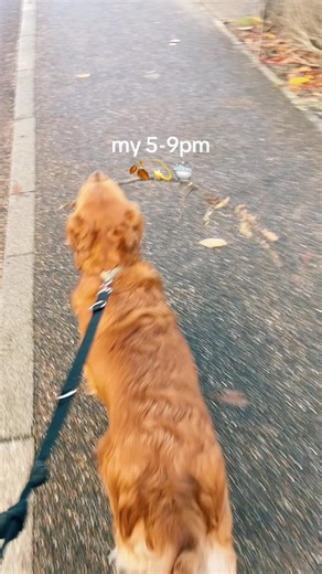 Little 5-9pm evening routine #5to9 #eveningroutine #cosy #autumn #fallroutine