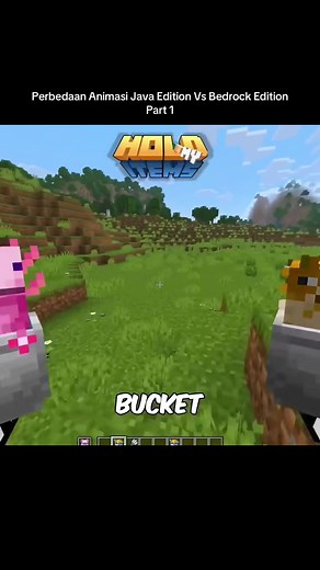 Perbedaan Animasi Java Edition vs Bedrock Edition (Part 1)