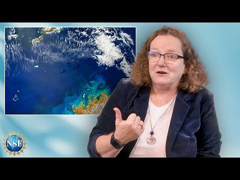 Studying the Ocean | EXPLAINED | Oceanographer Lisa Clough