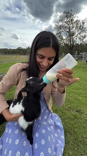 Organic Blueberry Picking at The Giving Farm