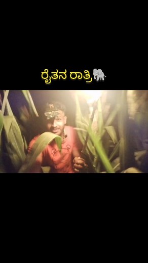 Support Farmers🌾🐘Watch Full Video👉 https://youtu.be/hDdEnf5Xw6s (Avatar Shiva Official) YouTube Channel ಅಲ್ಲಿ #avatarshiva #elephant #attack #farmer #village #explore #trending #viral | Avatar Shiva