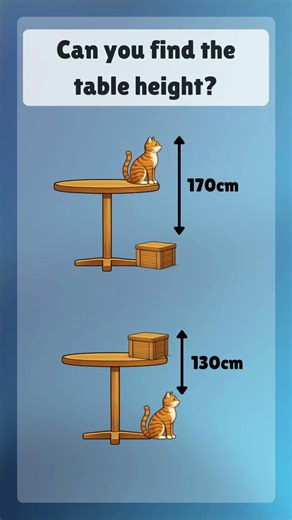 Can You Find the Table Height? 🤔📏#shorts #challenge