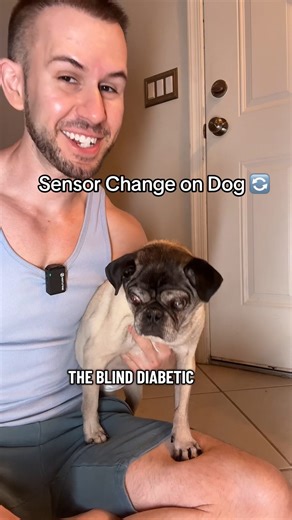 Mike Munz | Online Fit Coach on Instagram: "How to install Freestyle Libre on a Dog #dog #dogsofinstagram #diabetes"