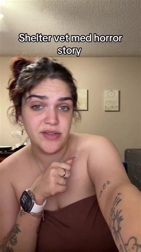 Shelter Vet Med Horror Story: Contagion Chaos