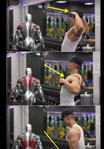 Cable vs Free Weights: The TRUTH About Muscle Growth