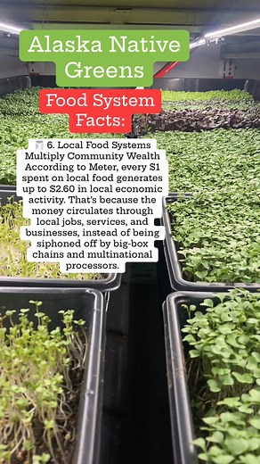 Food System Facts: 🧾 6. Local Food Systems Multiply Community Wealth. According to Ken Meter, every $1 spent on local food generates up to $2.60 in local economic activity. That’s because the money circulates through local jobs, services, and businesses, instead of being siphoned off by big-box chains and multinational processors. #FoodSystemFacts #FoodJustice #KnowYourFood #FoodTruths #FoodIsPolitical #RealCostOfFood #LocalFoodSystems #RootedInJustice #BehindTheBite #FoodForThought | Alaska Na
