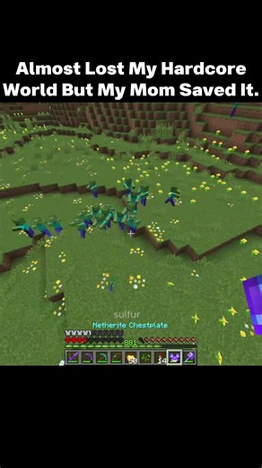 IG my mom was a member of the Stable SMP #minecraft