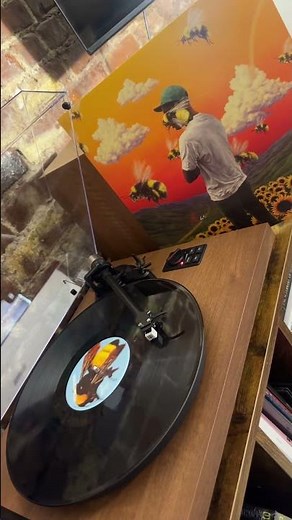 Tyler, The Creator - Flower Boy (2xLP - 150g Vinyl)