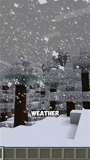 Minecraft Snow is Different in Java vs Bedrock
