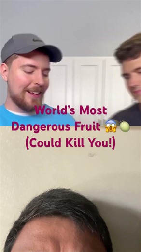 This fruit can actually kill you if eaten wrong 😳Would U try it for $100,000? 💀🔥 #food @MrBeast