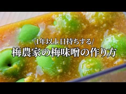 【梅仕事】青梅で仕込む梅味噌の作り方。梅農家に伝わる定番青梅レシピ。