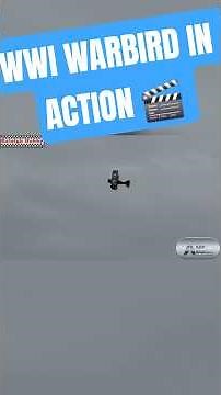 Biplane Formation Flight: Amazing Aerial Handling & Power!