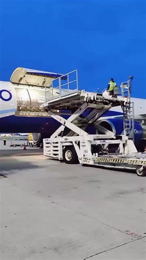 CarGo Freighter Operations IndiGo 6E🇮🇳 #shorts #foryoupage #foryou #fyp #airport #indian #travel #cargo #aviation #air #6E #IndiGo #handling #freighter #world @india