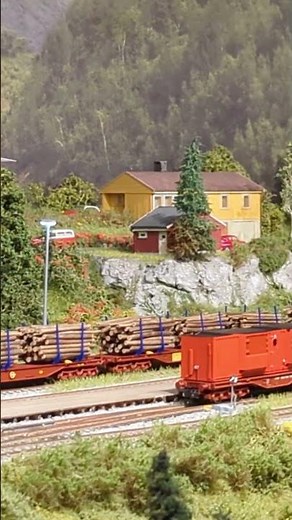 Model Trains & Scenery ✨ Miniature world at its finest!