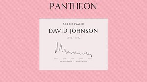 David Johnson Biography | Pantheon