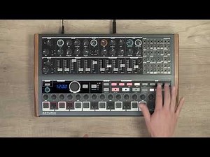 MiniBrute 2 Ecosystem Tutorials: Episode 04 - The Sequencer