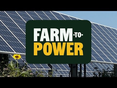 Exploring the Benefits of Agrivoltaics