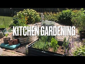 How to plan a kitchen garden in 5 minutes
