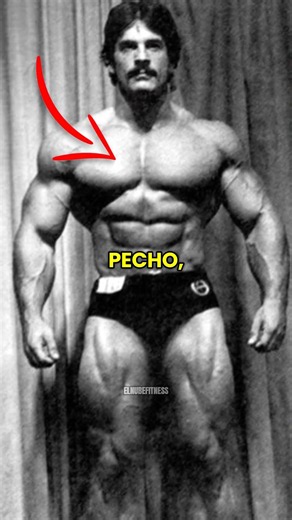 Best chest exercise according to Mike Mentzer 💪🔥 #bodybuilding #mikementzer #fitness