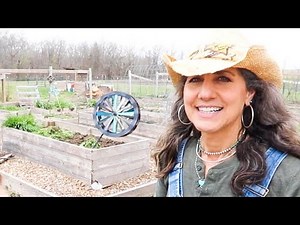 Elderberry What You Need to Know! It is AMAZING