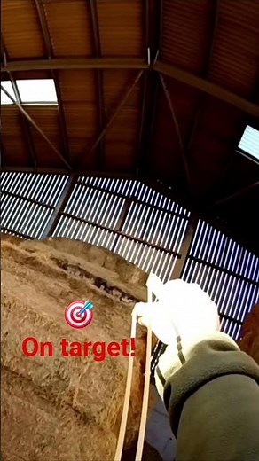 Slingshot hunting #catapulthunting #hunting #slingshot