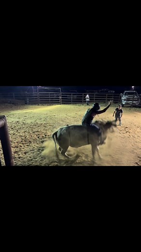 Critique me! | Evan Arenivas