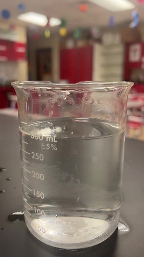 Orbeez and Water Reaction Experiment