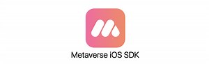 Introducing Metaverse SDK