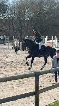 Mimi la crack 🥹❤️ #cheval #horse #equestrian #showjumping #bretagne #cso #equitation