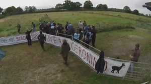 Geronimo the alpaca is put down