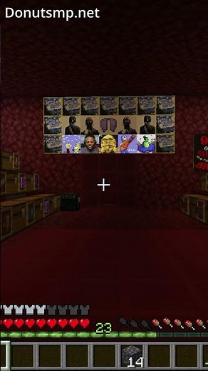 Here's how to get night vision on the Donut smp