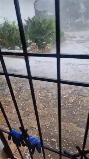 Kerry sent us this video of the heavy hailstorm in Eastleigh Ridge in Edenvale, Gauteng this afternoon (3 January 2026). Whatsapp photos/videos to 081 251 8029 See https://snowreport.co.za for weather forecasts. Follow our https://snowreport.co.za/whatsappchannel | Snow Report SA