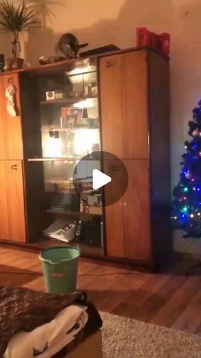 ▶️Weeememes◀️ | Follow for more weee👍😂 #funny#animals#weee#wee#trend#viral#memes#dog#fail#f4f#l4l#instagram#pets#cats#cat | Instagram