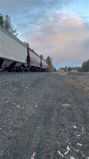 BNSF ES44AC 6213 as a DPU for an empty grain train in Cle elum, Wa