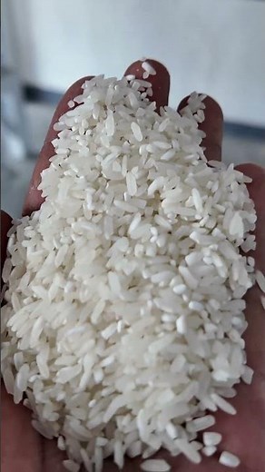 Watch Raw Grain Transform into Perfect Rice #ricemilling #machinery
