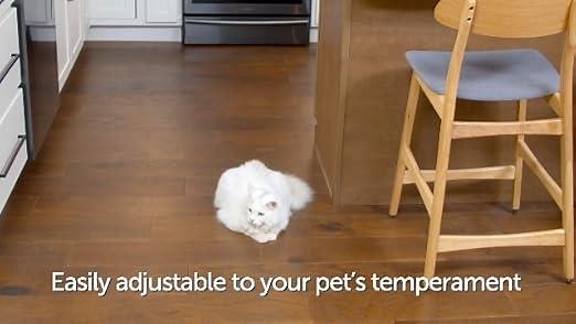 PetSafe ScatMat Indoor Training Mats for Dogs and Cats