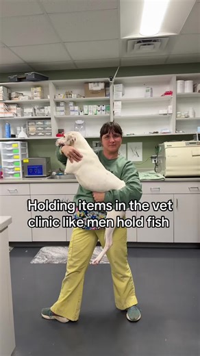 Holding Items in the Vet Clinic: A Humorous Take