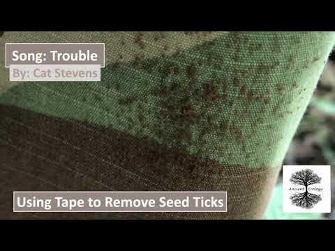 The BEST Way to Remove Seed Ticks: A Guide