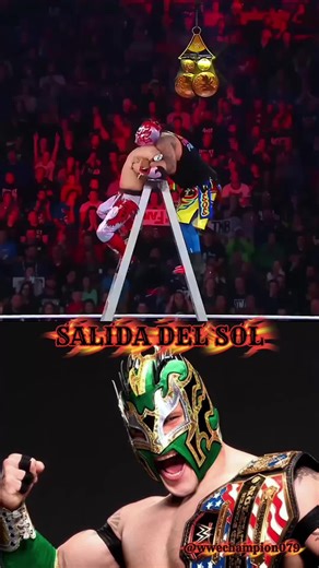 The finisher of the WWE #wwe #wwetiktok #prowrestling #finisher #prowrestlingfan @Ryback 🦍 @wwewomenchampion