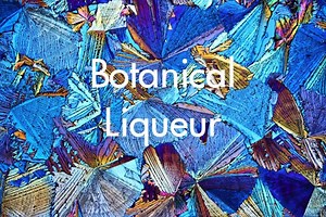 Microscopic Photography Print of Botanical Liqueur – Abstract Microscope Wall Art – Unique Science Gift - Etsy