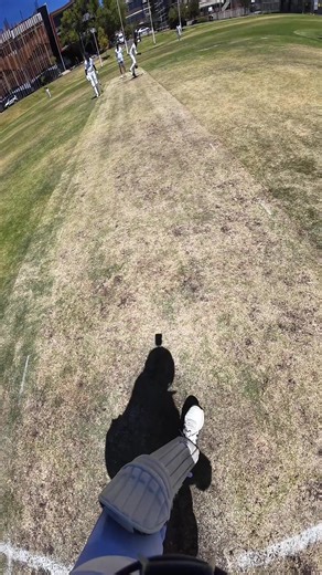 Epic Cricket Catch: A Moment to Remember