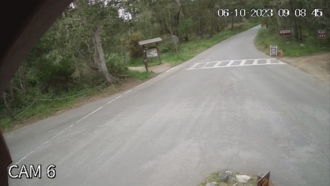 Jury awards over $18M to woman hit in Point Lobos crosswalk; state faulted for training