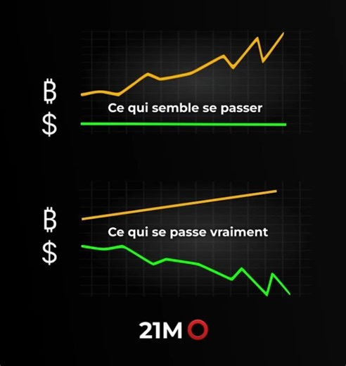 🚨 Ce que personne ne t’explique sur BTC vs USD
