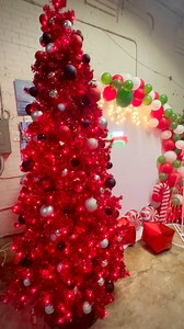 Light show trees are 50% off: check them out here at the end of our photo op display! | Christmas Designers