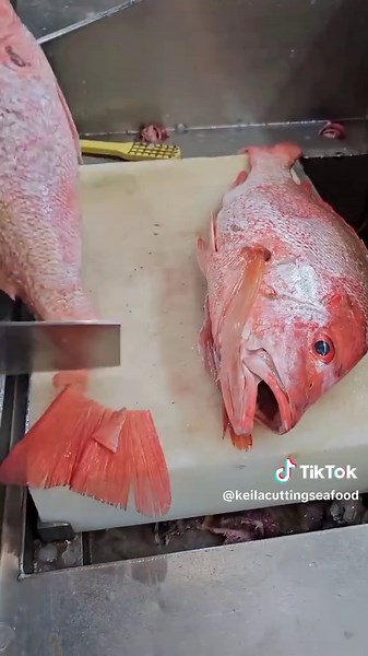 Keila Cutting Sea Food on TikTok