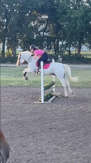 Small hops with the rocket pony today! #welshpony #pink #horse #fyp #horse #jumping #fasthorses